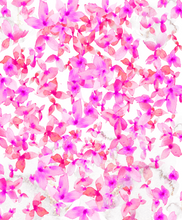 Load image into Gallery viewer, Floral Explosion Greeting Card
