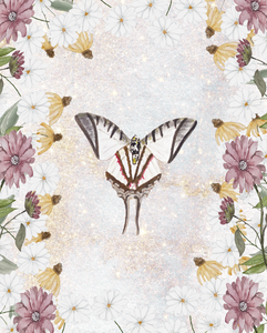 Butterfly Daisy Art Print