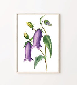 Purple Lochroma Art Print